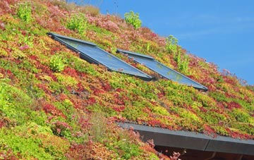 Hogsthorpe living roof systems
