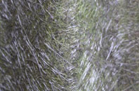 Hogsthorpe fibreglass roof work